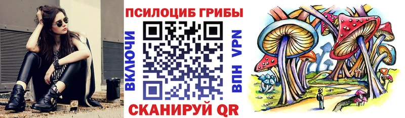 Галлюциногенные грибы мухоморы  Купить закладки  Ядрин 